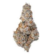 Sense - El Chivo #5 - Eighth