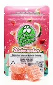 Eighth Brother's - 100mg Hybrid Gummy - Watermelon