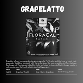 FloraCal | Indoor Flower | Grapelatto | 3.5g