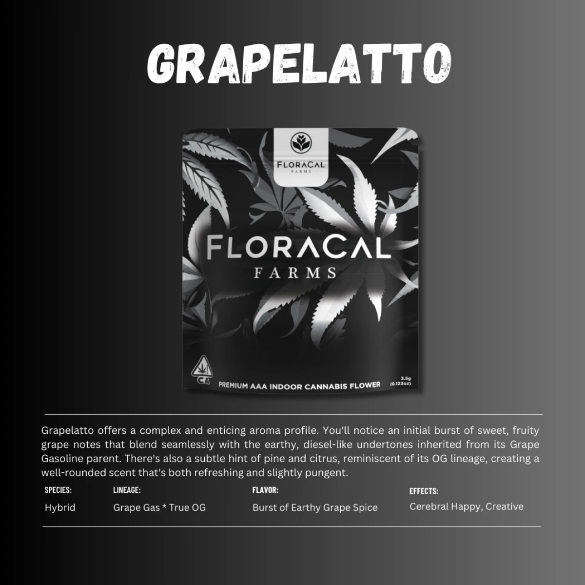 FloraCal - FloraCal | Indoor Flower | Grapelatto | 3.5g Main Image