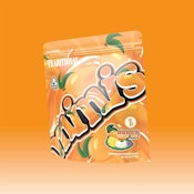 Traditional - Mango Sticky Rice Minis 5g