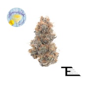 Lemonade Slush - 3.5g (S) - Team Elite Genetics