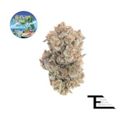 Garbage Island - 3.5g (H) - Team Elite Genetics