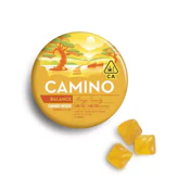 Camino Mango Serenity 1:1 |Balance| Kiva | 100mg Gummies