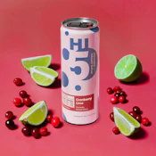 Cranberry Lime Seltzer 4pk - 20mg - TWI