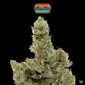 Rugged Roots | Gorilla Glue | 3.5g