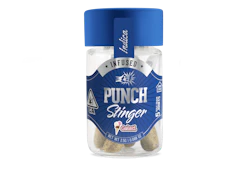 [Punch Stinger ] Infused Preroll 5 Pack - 2.5g - Gelati (H)