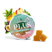 Plus | Island Maui Haze | Sativa Solventless Gummies 100mg