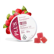 Plus | Raspberry | Balance | 1:1 Gummies [Solventless Rosin] 100mg