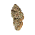 Product Preview Image 2