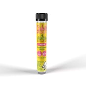 Pineapple Express (H) 38.78%THC | Gelato-Lolli's | Diamond Infused Pre-Roll 1.2g
