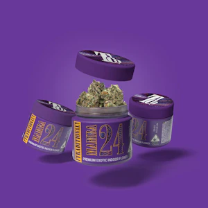 TRADITIONAL - [Traditional] Flower - 3.5g - Mamba 24 (I)