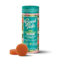 Good Tide - Kiwi Strawberry Gummies - THC:CBD:CBG - 1:1:1 - 10 Pack