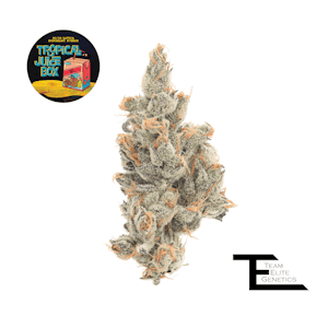 TEAM ELITE GENETICS - Team Elite Tropical Juice Box (H) Flower 3.5g