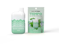 Tempo - AIO - Kush Mints Ice - (H) 1g