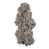 Blue Face Rainbow Belts - 3.5g (IH) - Fig Farms