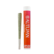 Autumn Brands - Preroll - Grape Escape - (H) 1g