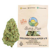 Burr’s Place - Flower - Orange Creampop Smalls - 3.5g