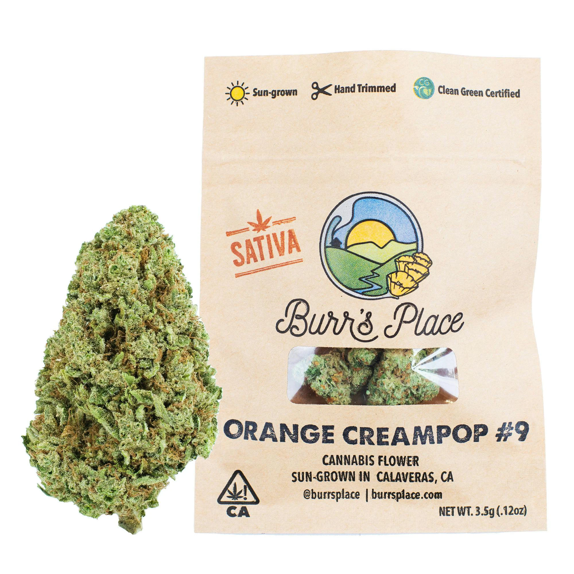 Burr's Place - Burr’s Place - Flower - Orange Creampop Smalls - 3.5g Main Image