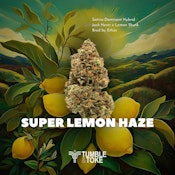 T&T - Super Lemon Haze - 3.5G