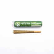 Himalaya Banana Runtz (H) Infused Preroll 1g