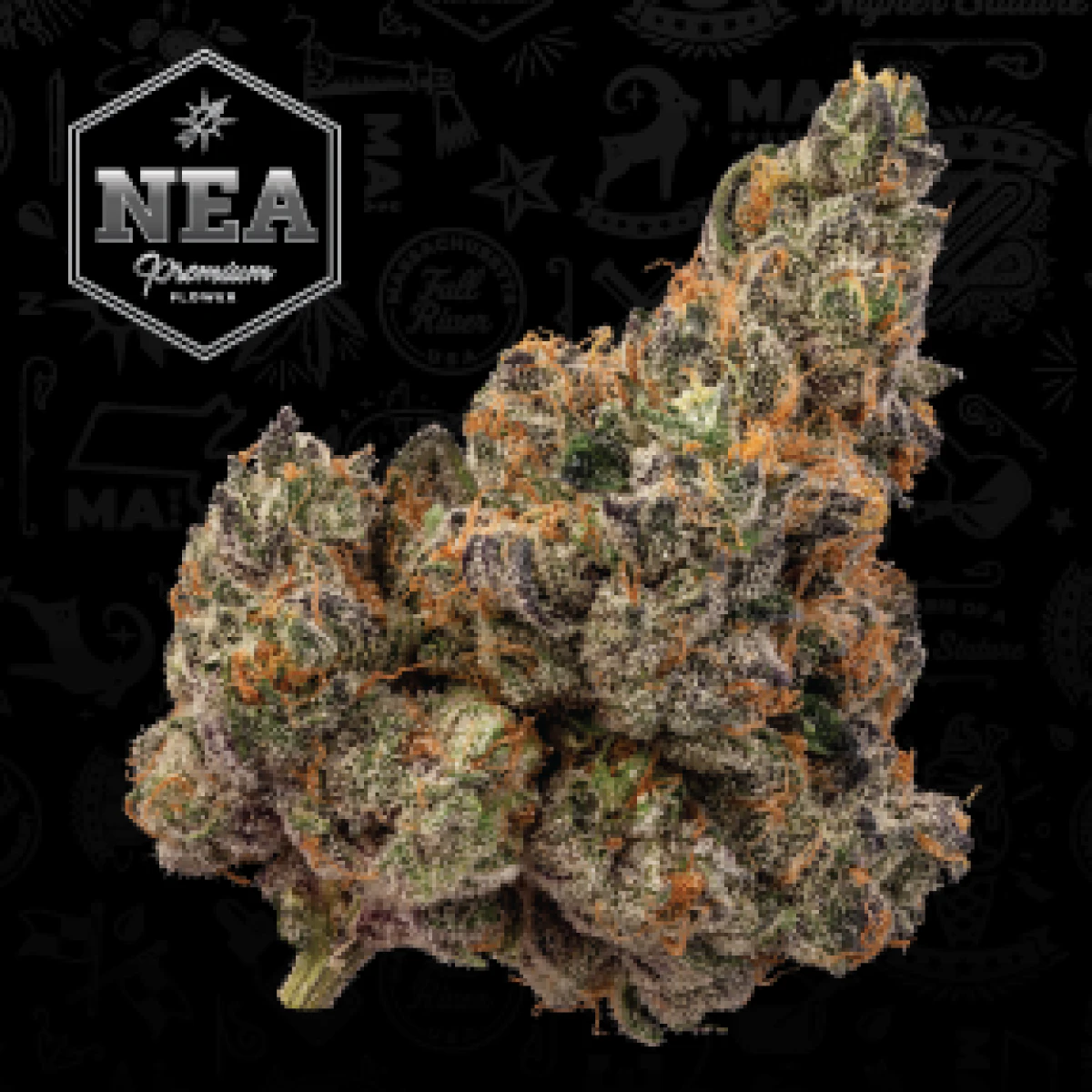 NEA Premium - Apple Fritter | 3.5g NEA Premium | TAX INCLD Main Image