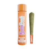 Kushy Punch 1G Infused Liquid Diamond Preroll - Orange Dosi | P1