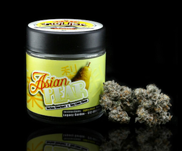 SHASTA FLOWER - SHASTA FLOWER | ASIAN PEAR | FLOWER | 3.5G