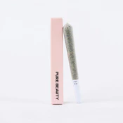 Canal St Runtz | Single (1g) Pre-Roll | 100% Indoor Flower