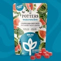 Live Resin Sugar-Free Fruit Chew | 100mg | I | Watermelon