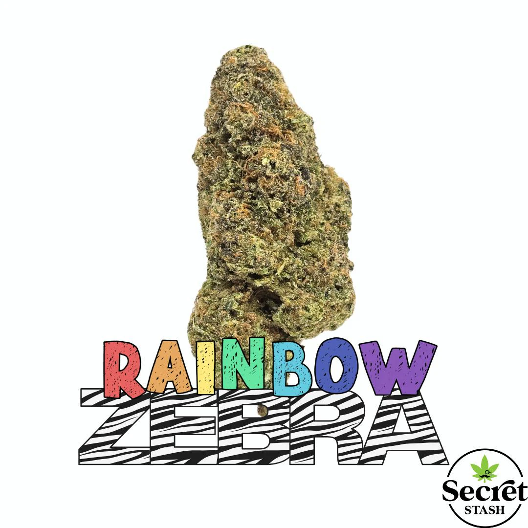 Secret Stash - Secret Stash - Flower - Rainbow Zebra Main Image