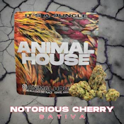 Notorious Cherry | Flower | 3.5g