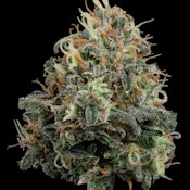 Papaya Splash | 3.5g Craft A Buds | TAX INCLD