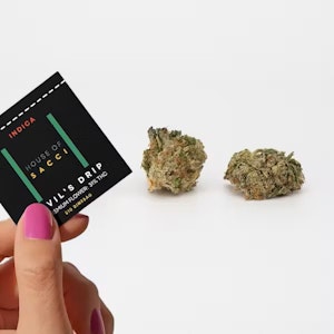 HOUSE OF SACCI - House of Sacci Devils Drip .7g