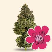 3.5g - Gelato Cake - Indica