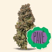 1g - Pavé - Hybrid