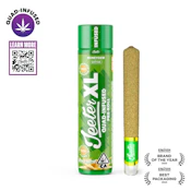 Jeeter |Honey Dew | XL 2G infused Preroll