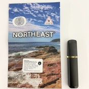 Northeast | Blue Raspberry | One Time Disposable | 1g [H]
