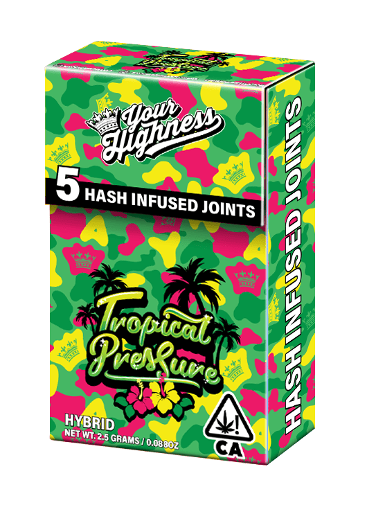 Your Highness: Yh - Tropical Pressure – Live
