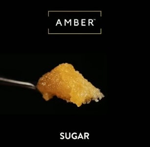 Amber - Amber | Live Sugar | Dirty Squirt | 1g