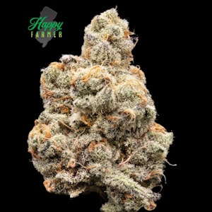 Happy Farmer - [REC] The Happy Farmer | Deluxe Sugar Cane | 7g smalls