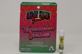 Watermelon Gushers 1g Liquified Diamondz