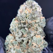 [REC] Green Lightning | Blueberry | 3.5g 