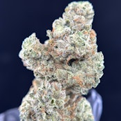 [REC] Green Lightning | GG4 | 3.5g Flower