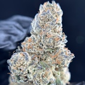 [REC] Green Lightning | Grape Gasoline | 3.5g Flower