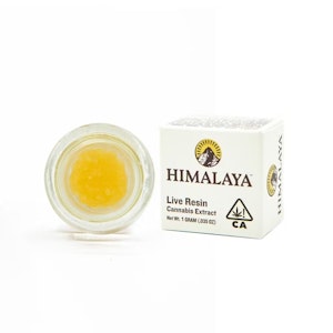 HIMALAYA - Watermelon Dream - Live Resin - 1g (S) - Himalaya