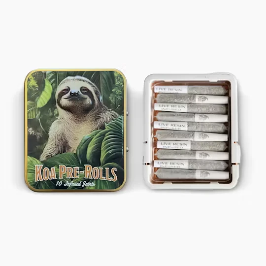 dompen™ & Koa - KOA - Runtz x Chemdawg - Infused Preroll - .35g 10pk Main Image