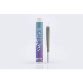 Next Day - Purple Carbonite Preroll (1g)