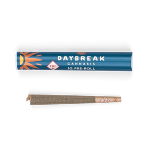DAY BREAK - DAYBREAK - DETROIT COOKIE 1 GRAM PRE-ROLL