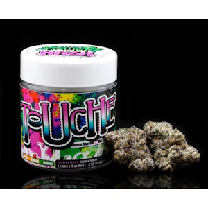 Shasta Flower Co. - Touche - 3.5g (H) - Shasta Flower Co.